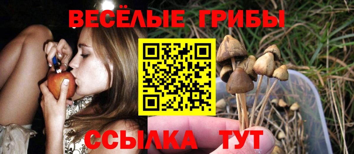 хочу   Псилоцибиновые грибы Psilocybe  Вход с VPN  Чапаевск  Псилоцибиновые грибы мицелий 